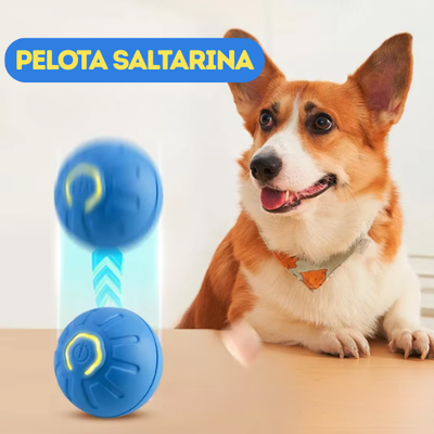 Pelota saltarina